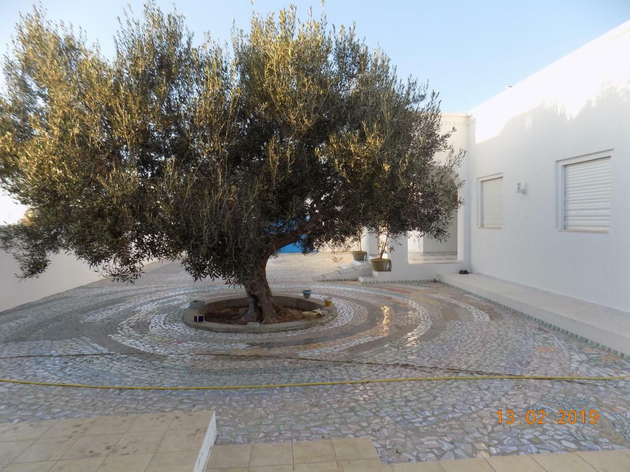 Dar Mamina Acomodação com café da manhã Sidi ash Shammakh Exterior foto